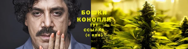 2c-b Вяземский