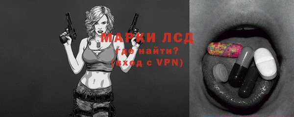 индика Волоколамск