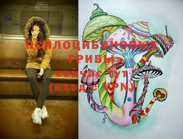 2c-b Вяземский