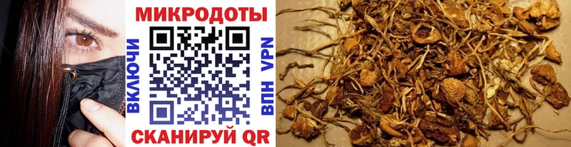 Псилоцибиновые грибы GOLDEN TEACHER  Тула 